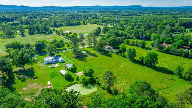 4533 Long Hollow Rd, Ringgold, GA 30736 - overview of rural landscape with a forest