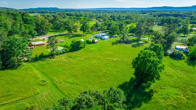 4533 Long Hollow Rd, Ringgold, GA 30736 - overview of rural landscape