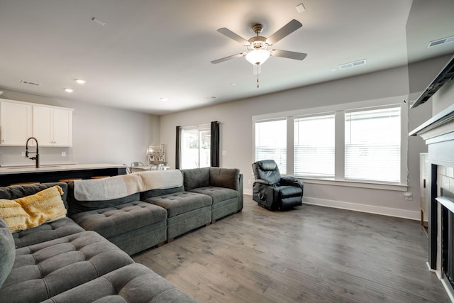 living room with a wealth of natural light, a fireplace, hardwood / wood-style floors, and sink