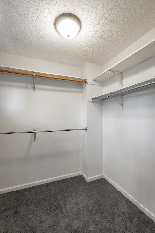 walk in closet featuring dark colored carpet