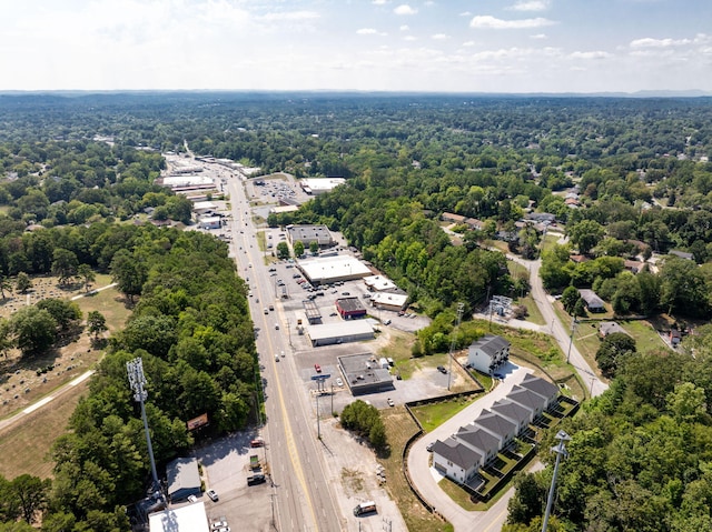 bird's eye view