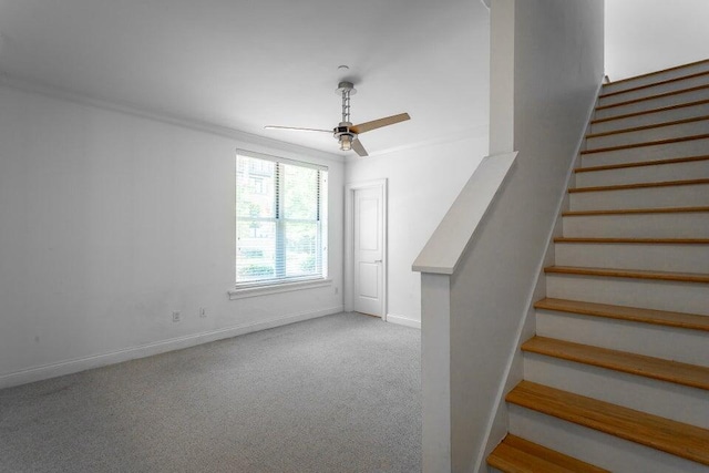 stairs with carpet, ceiling fan, and ornamental molding