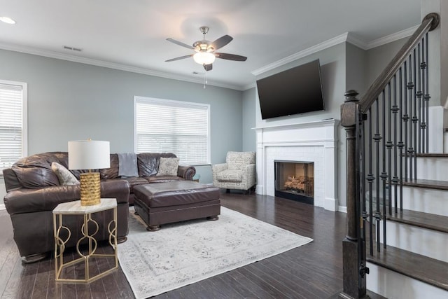 living room featuring crown molding, a fireplace, ceiling fan, and dark hardwood / wood-style floors