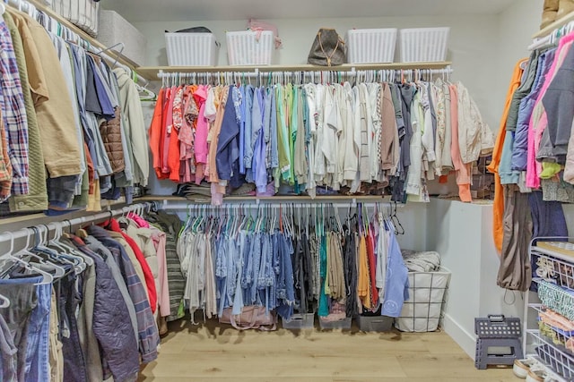 walk in closet featuring wood-type flooring