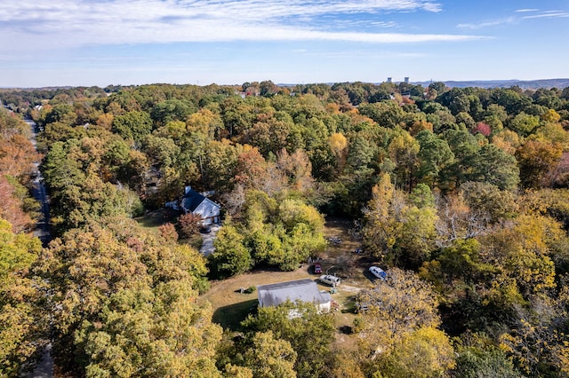 bird's eye view