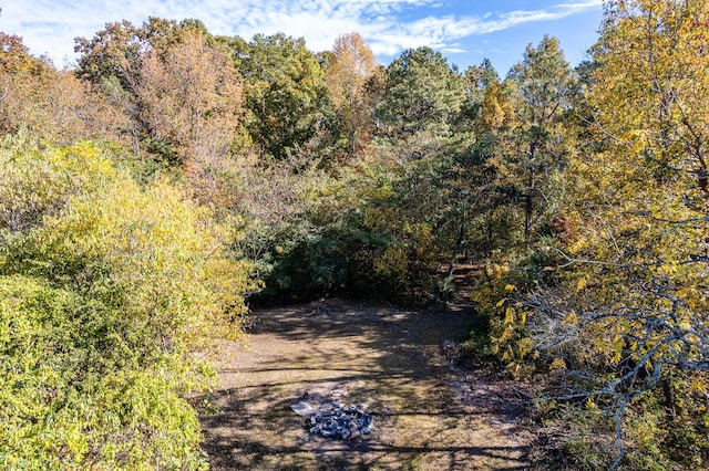 view of local wilderness