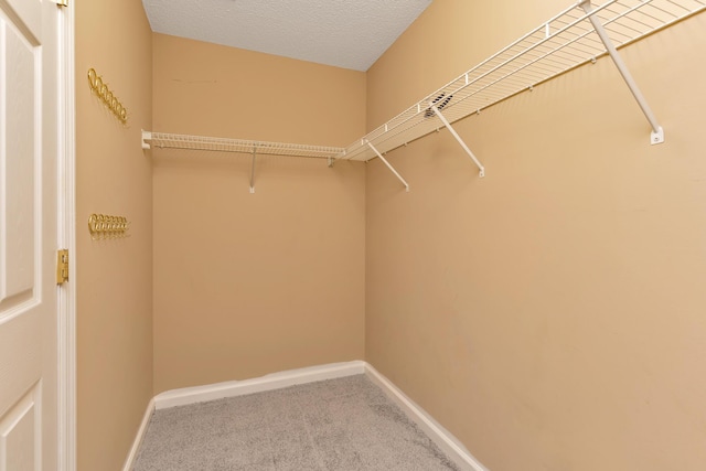 spacious closet with carpet floors