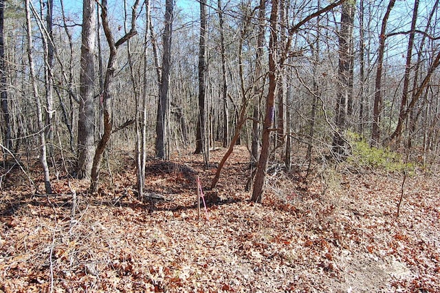 Listing photo 2 for 4 Henson Gap Rd, Soddy Daisy TN 37379