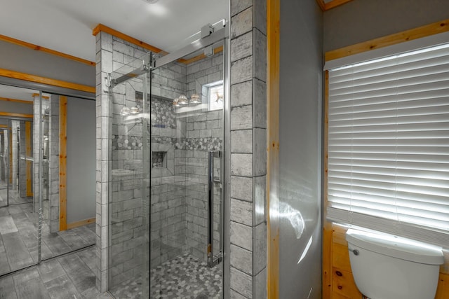 bathroom with toilet and a shower with door