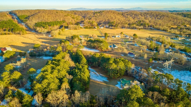 birds eye view of property featuring a mountain view