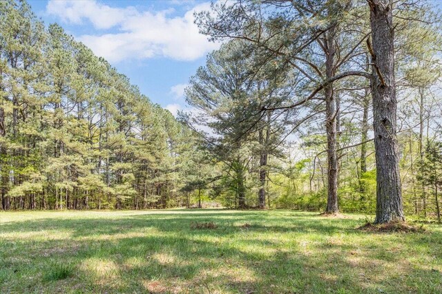 view of yard with a forest view