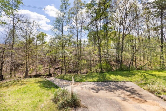 view of yard with a forest view