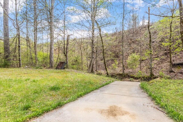 view of yard with a forest view