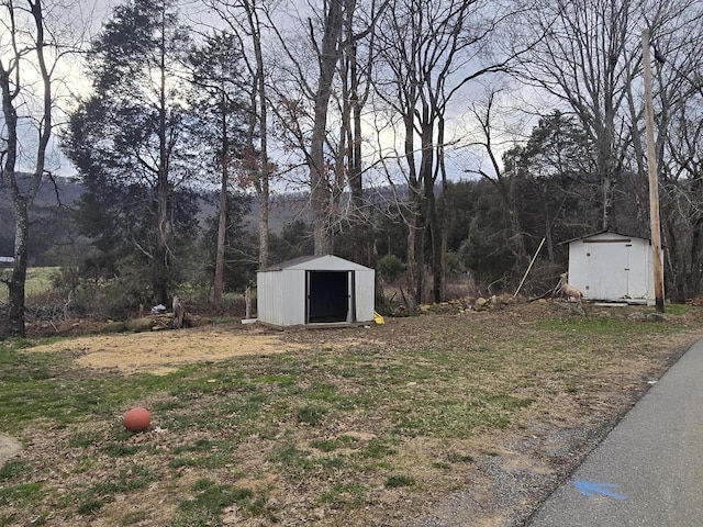 view of yard with a shed