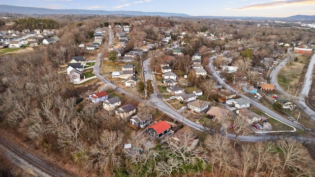 drone / aerial view