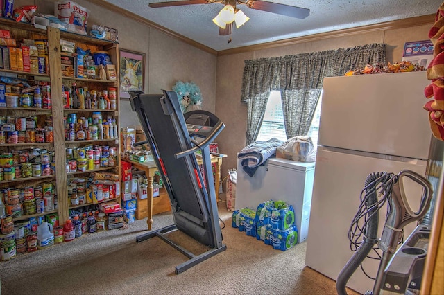 workout room with a textured ceiling, carpet floors, ceiling fan, and crown molding