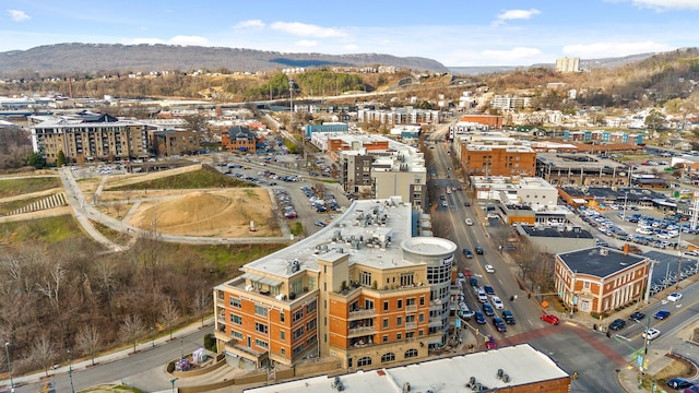 birds eye view of property with a mountain view