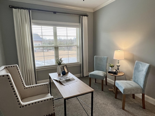 sitting room with crown molding and carpet flooring