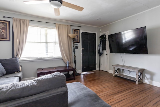 living room featuring crown molding, dark wood-type flooring, and ceiling fan