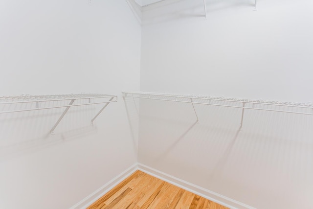 walk in closet featuring hardwood / wood-style floors