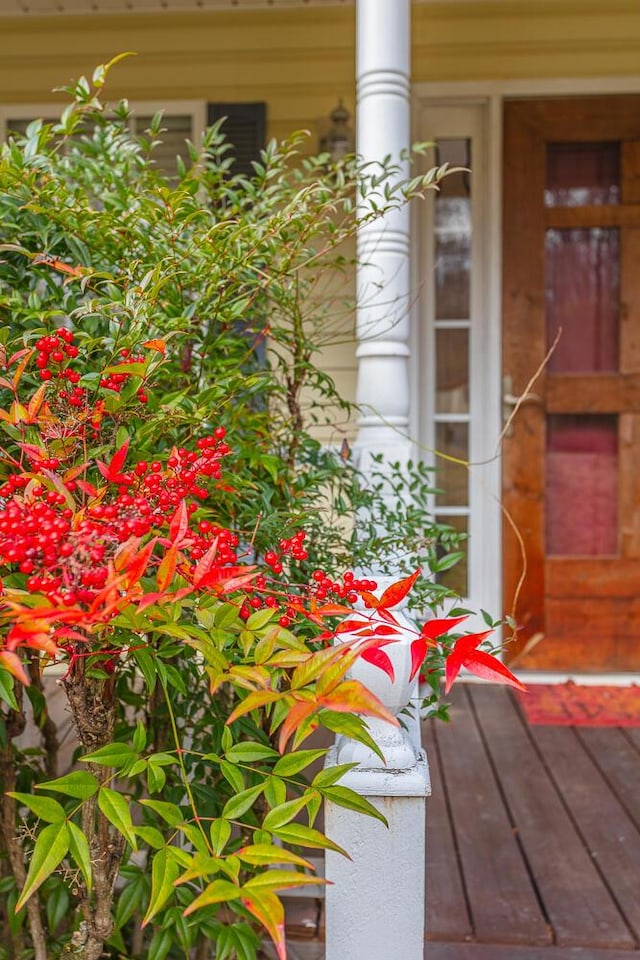 view of property entrance