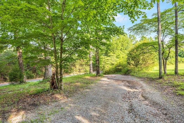 4600 Alabama Rd, Apison, TN 37302 - photo 16