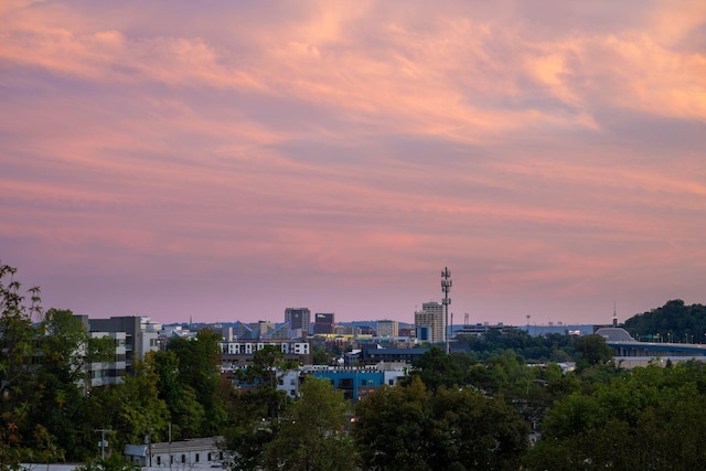 view of city