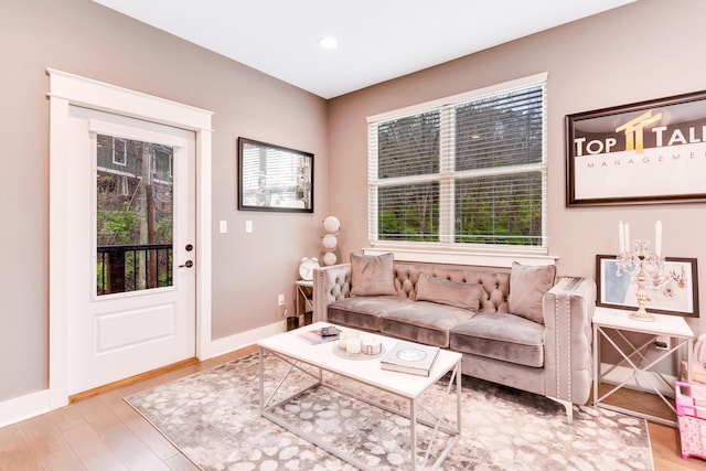 living room featuring plenty of natural light and hardwood / wood-style flooring