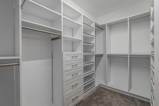 spacious closet with dark colored carpet