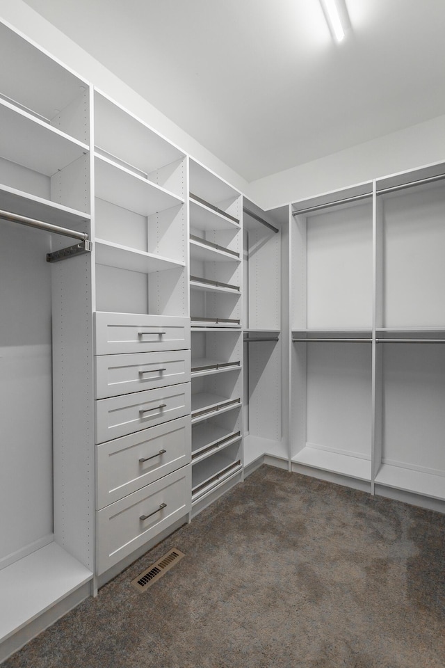 walk in closet with dark colored carpet