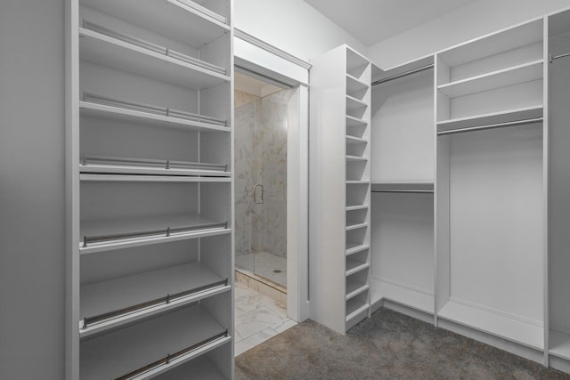 spacious closet featuring dark colored carpet