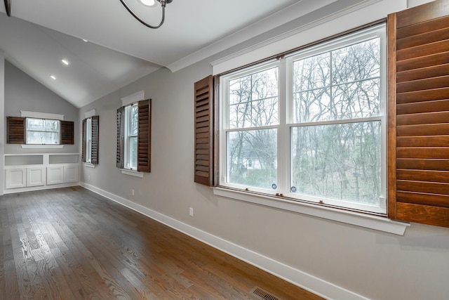 interior space featuring dark wood-type flooring and lofted ceiling