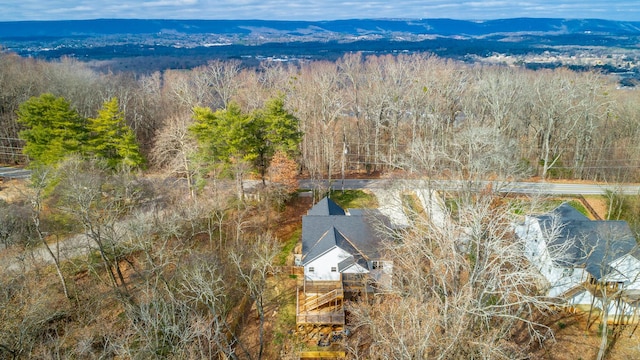 drone / aerial view featuring a mountain view