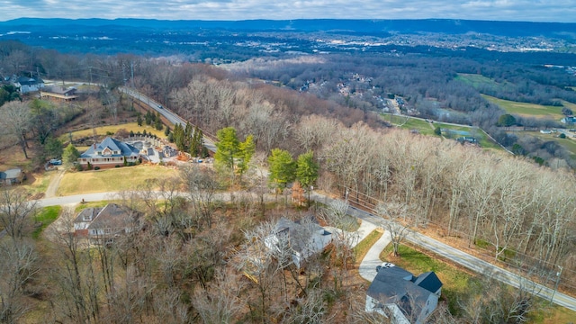 drone / aerial view with a mountain view