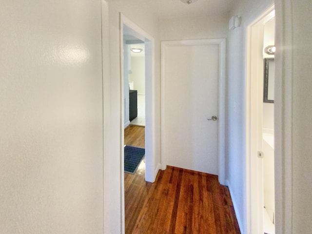 hallway with dark hardwood / wood-style flooring