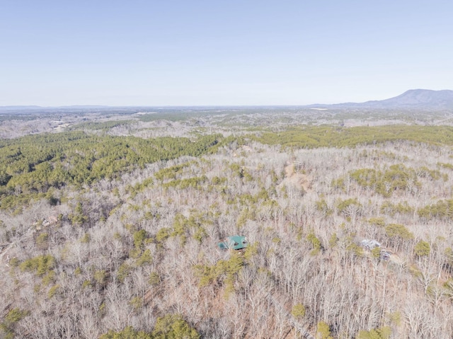 drone / aerial view featuring a mountain view