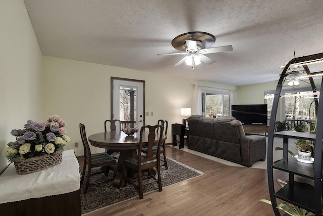 dining space featuring ceiling fan, hardwood / wood-style floors, and a textured ceiling