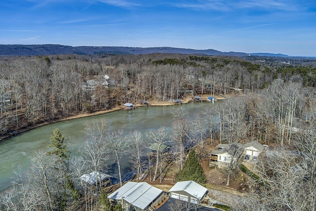 bird's eye view featuring a water and mountain view