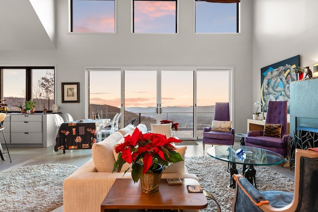 living room with a towering ceiling and a healthy amount of sunlight