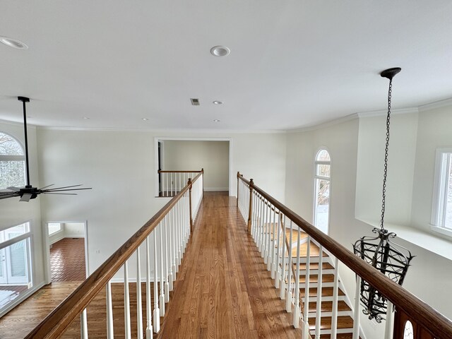 corridor with wood-type flooring and ornamental molding