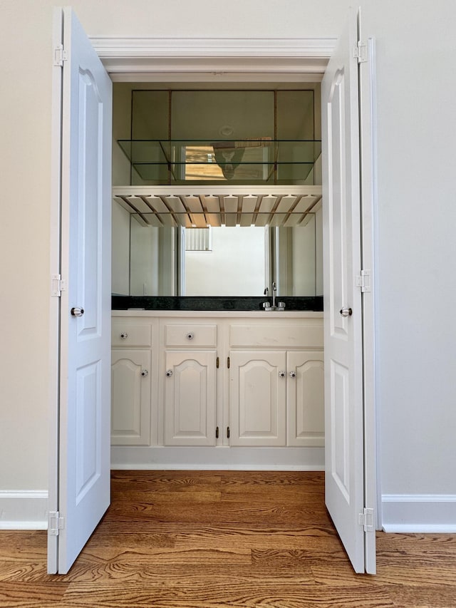 closet with sink