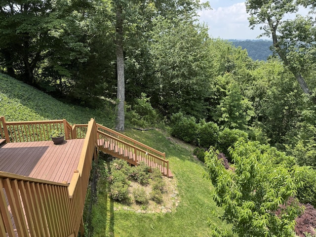 5703 Laurel Ridge Rd, Chattanooga, TN 37416 - deck with a lawn