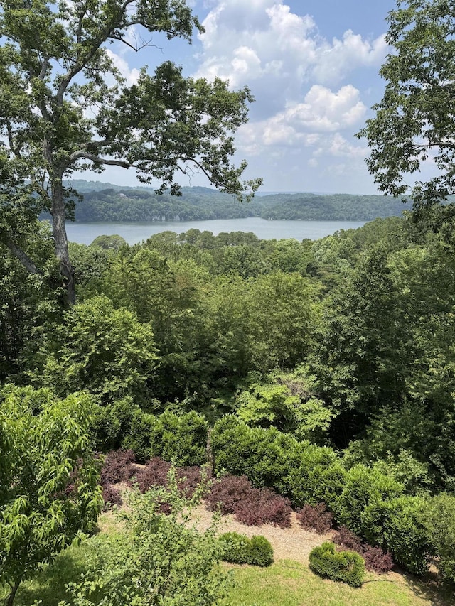 5703 Laurel Ridge Rd, Chattanooga, TN 37416 - water view featuring a heavily wooded area