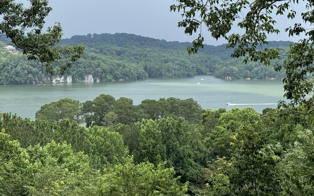 5703 Laurel Ridge Rd, Chattanooga, TN 37416 - water view with a forest