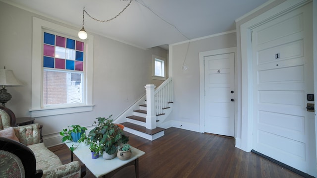 entrance foyer featuring crown molding and dark hardwood / wood-style flooring