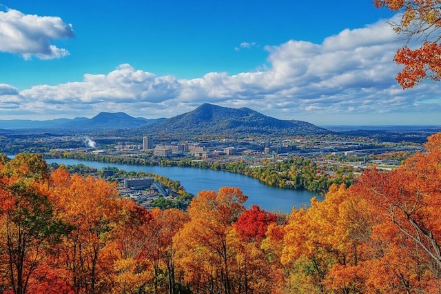 drone / aerial view with a water and mountain view