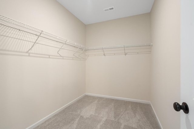 walk in closet with carpet floors