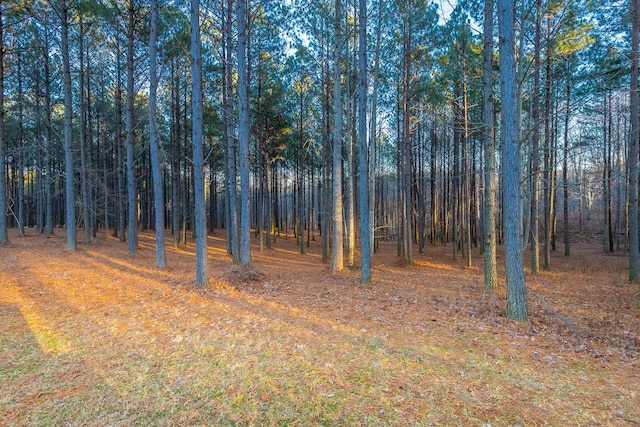 0 Compass Dr Unit 227A, Jasper, TN 37347 - photo 4