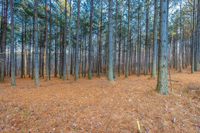 0 Compass Dr Unit 227A, Jasper, TN 37347 - photo 6