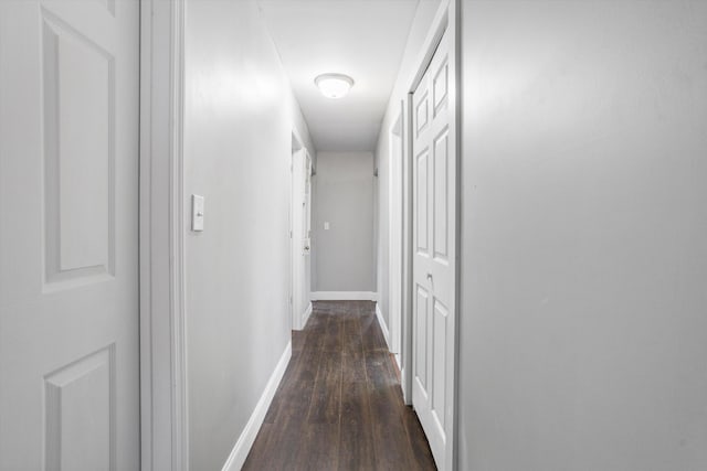 corridor with dark wood-type flooring